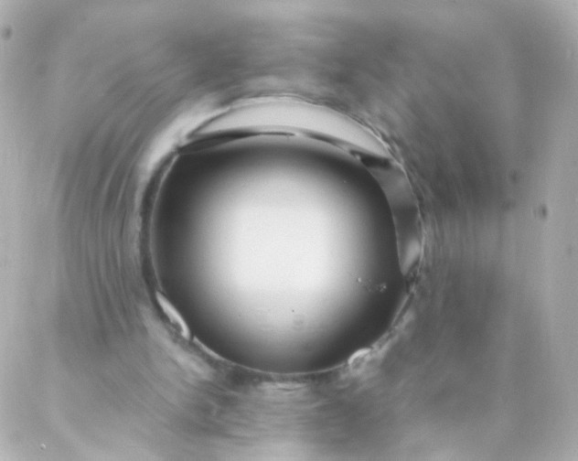 X0000088130150200705291341