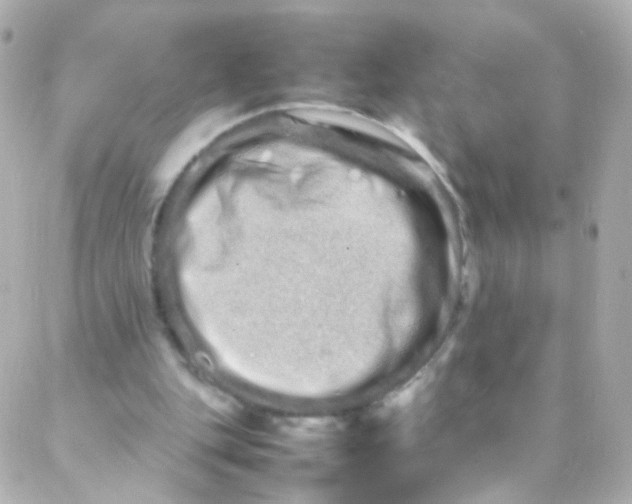 X0000088130151200705291341