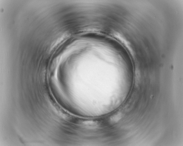 X0000088130153200705291341