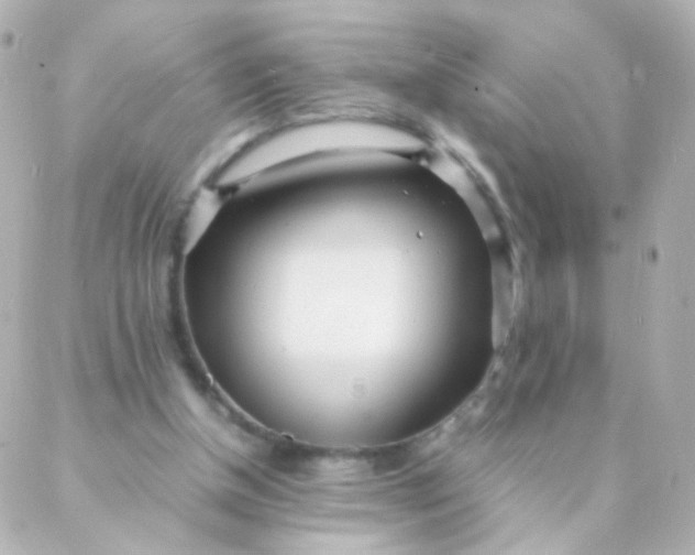 X0000088130154200705291341