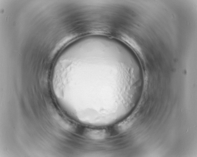 X0000088130155200705291341