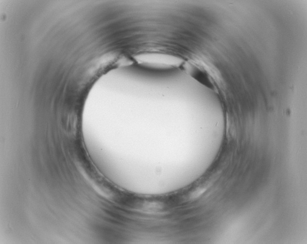 X0000088130157200705291341