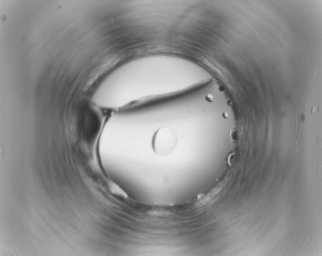 X0000088130158200705291341