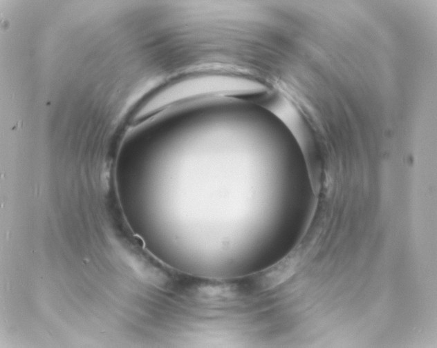 X0000088130160200705291342