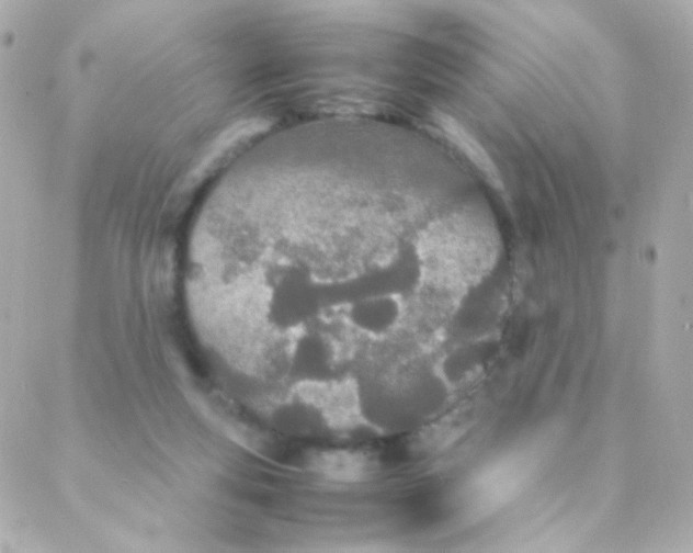 X0000088130163200705291342