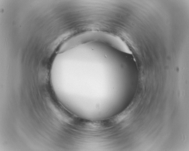 X0000088130164200705291342