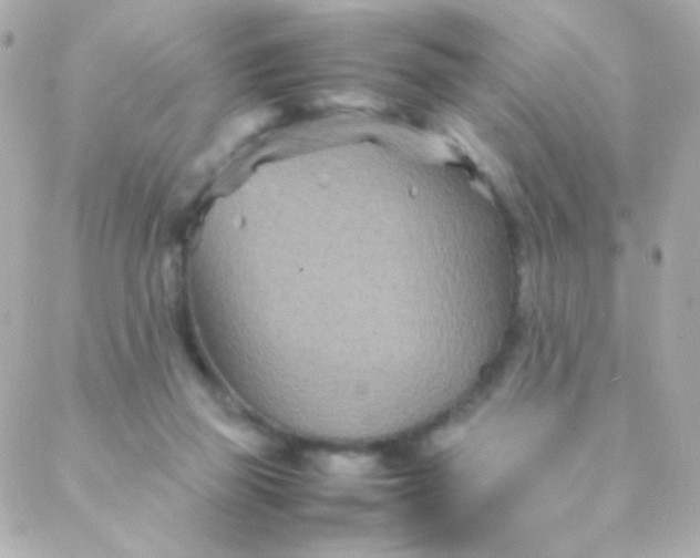 X0000088130165200705291342