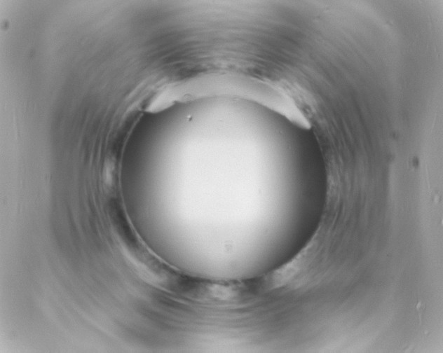 X0000088130166200705291342