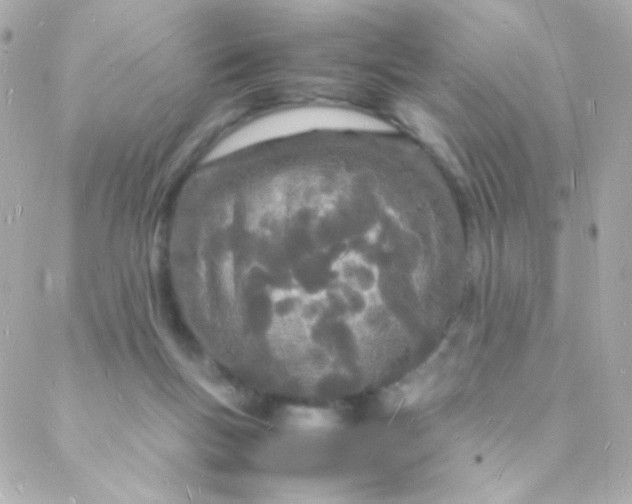 X0000088130167200705291342