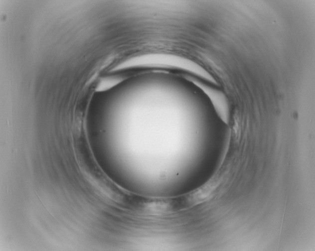 X0000088130168200705291342