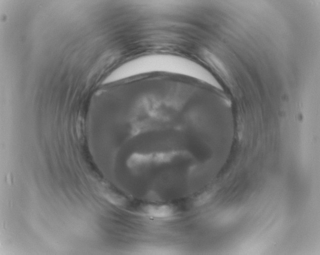 X0000088130169200705291342