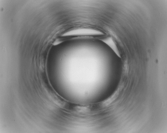 X0000088130170200705291342