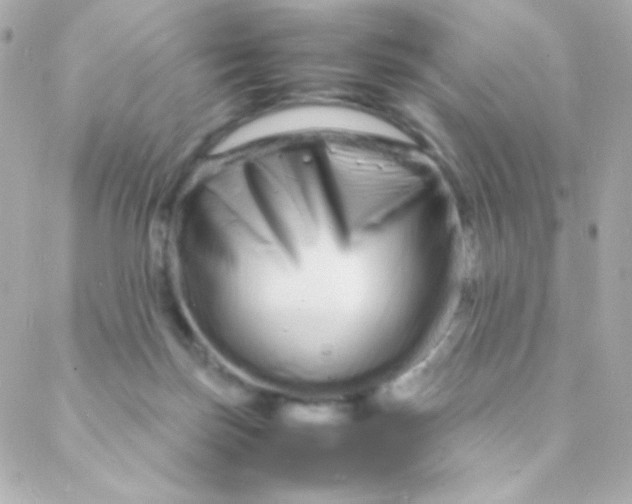 X0000088130171200705291342