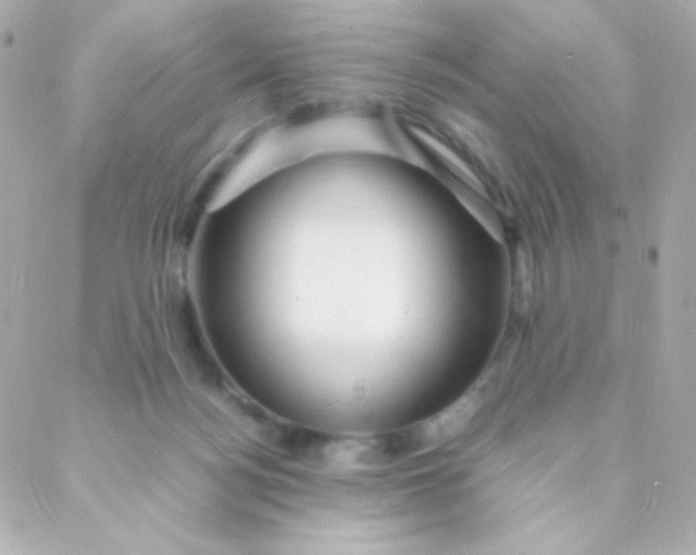 X0000088130172200705291342