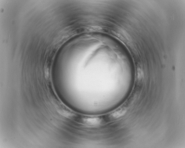 X0000088130173200705291342