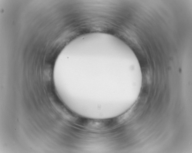 X0000088130174200705291342