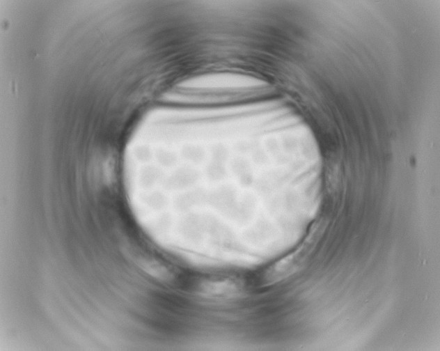 X0000088130175200705291342