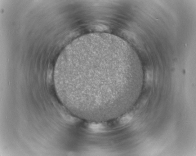 X0000088130177200705291342