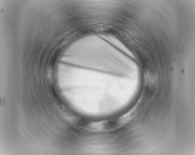 X0000088130178200705291342