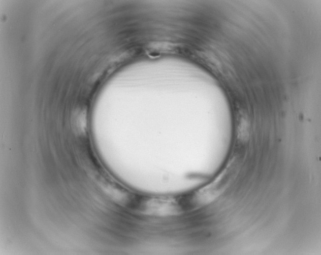 X0000088130179200705291342