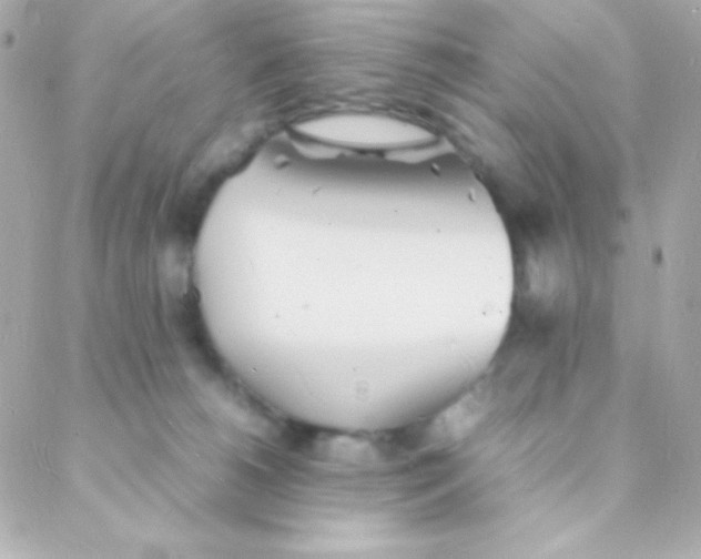 X0000088130180200705291342