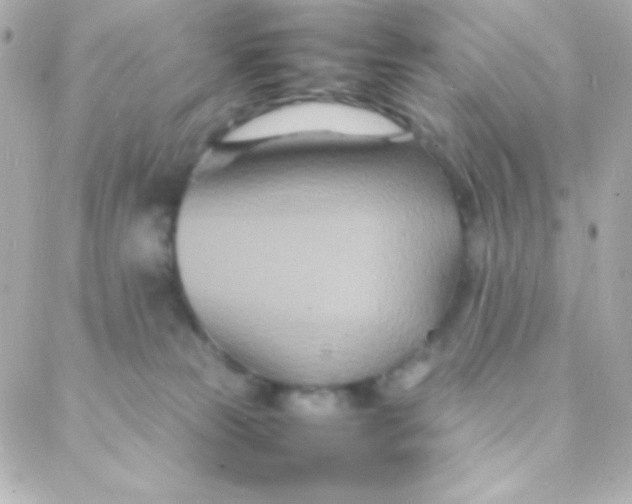 X0000088130181200705291342