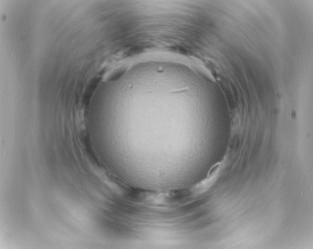 X0000088130182200705291342