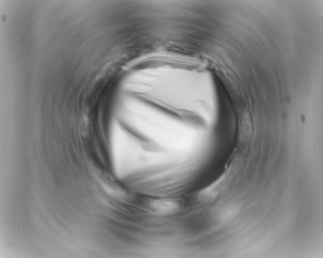 X0000088130183200705291342