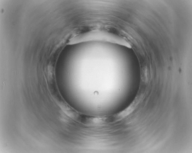 X0000088130184200705291342