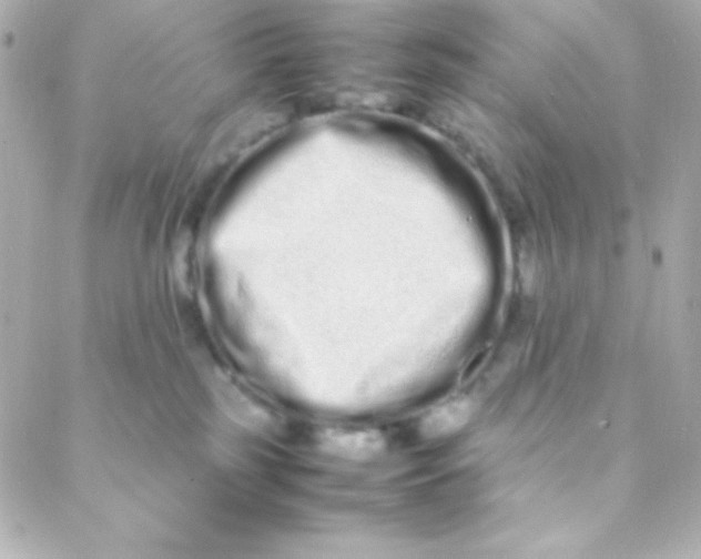 X0000088130185200705291342