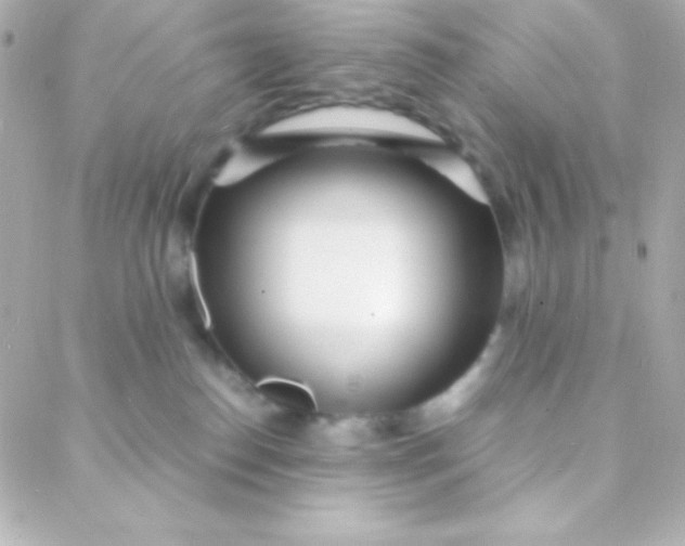 X0000088130186200705291342