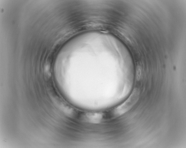 X0000088130187200705291342