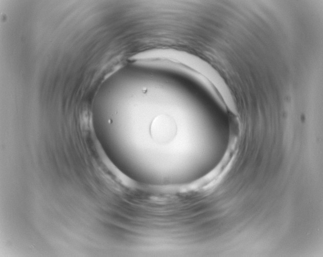 X0000088130190200705291342