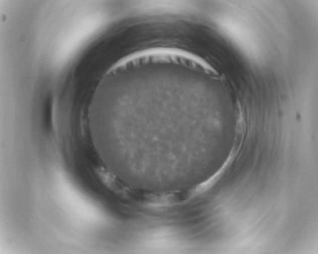 X0000088130191200705291342