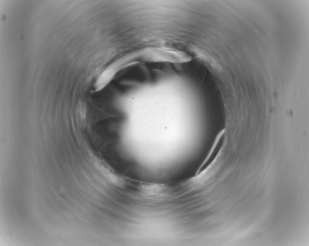 X0000088130192200705291342