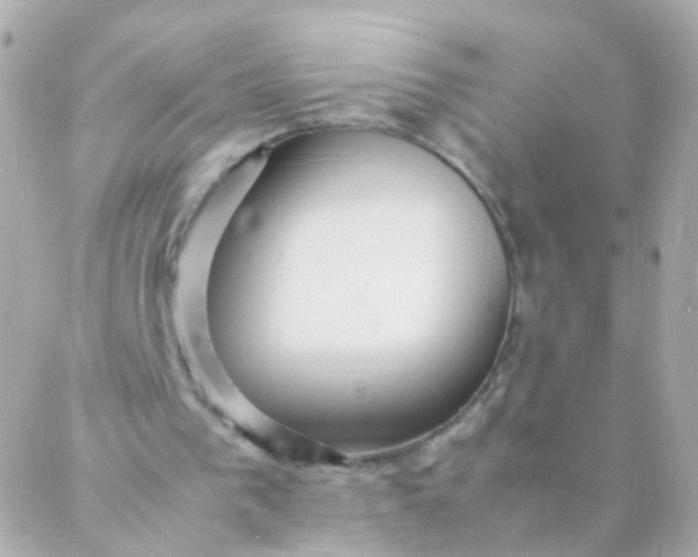 X0000088130193200705291341