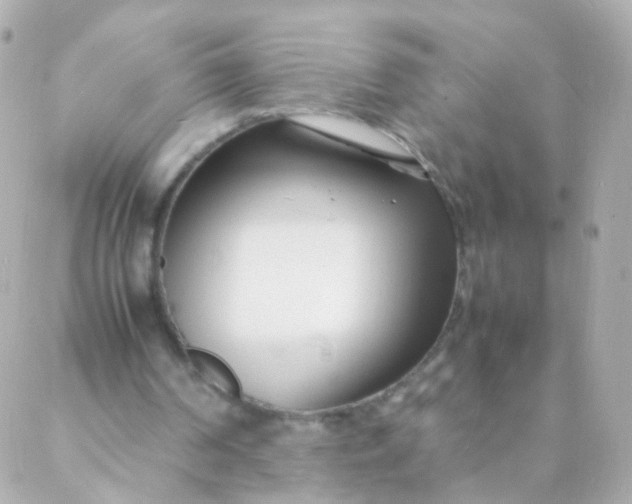 X0000088130194200705291341