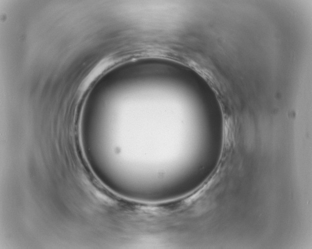 X0000088130195200705291341