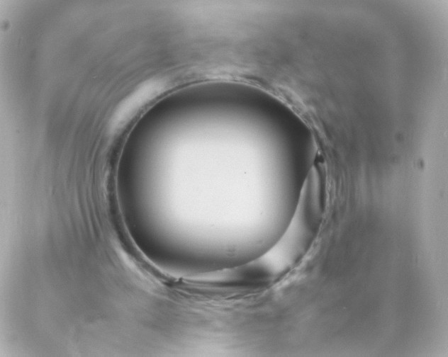 X0000088130197200705291341