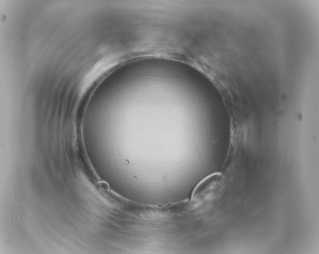 X0000088130198200705291341