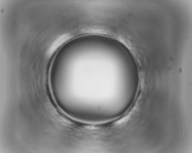 X0000088130199200705291341