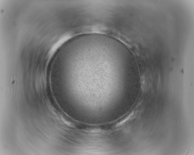 X0000088130200200705291341