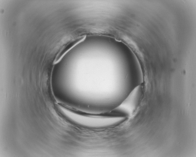 X0000088130201200705291341