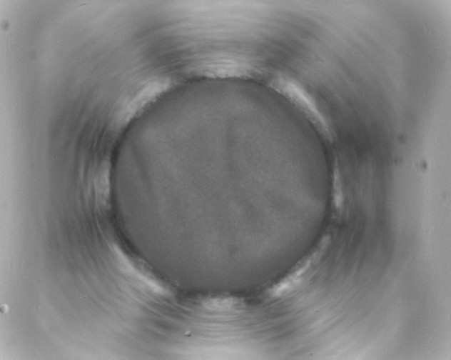 X0000088130202200705291341