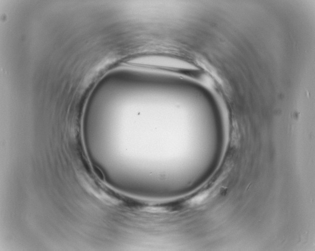 X0000088130203200705291341