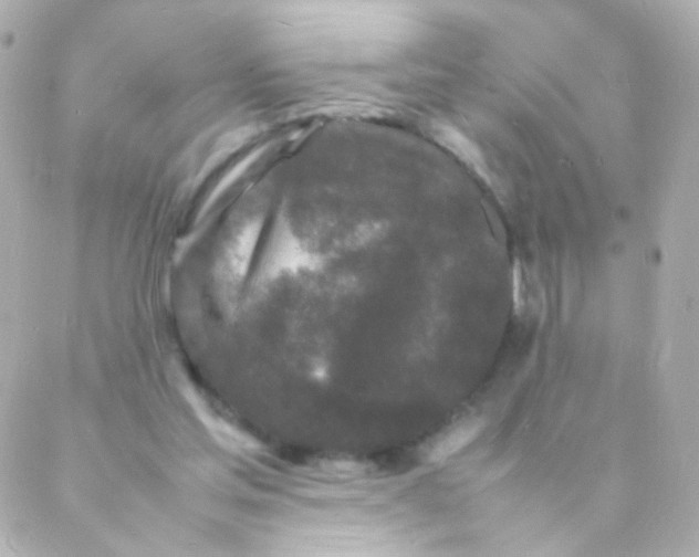 X0000088130205200705291341