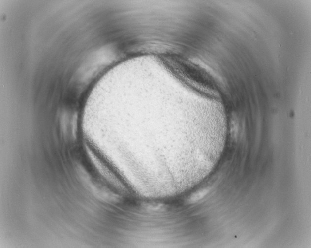 X0000088130206200705291341