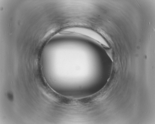 X0000088130207200705291341