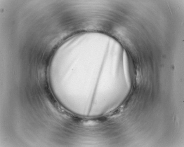 X0000088130208200705291341