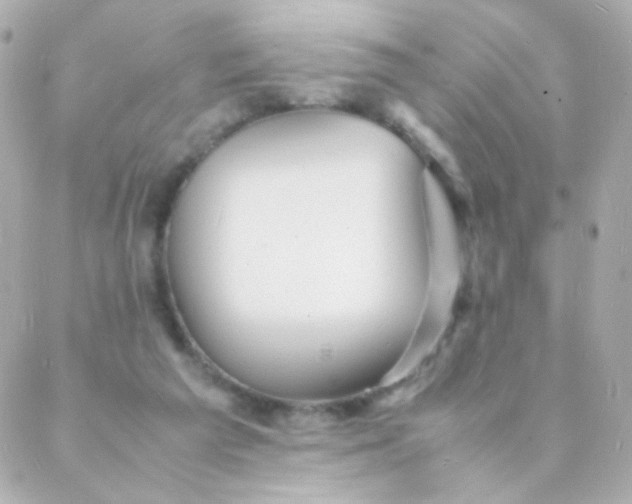 X0000088130209200705291341